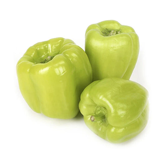 Dolma Biber Kg